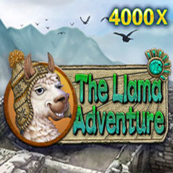 WINDEE168 JDB slot The Llama Adventure