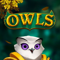 WINDEE168 NLM slot Owls